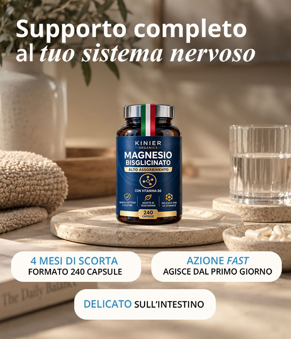 2 supporto completo 240