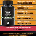 VIGORIZZANTE-MASCHILE-CON-MACA-E-TRIBULUS-aswhagandha
