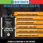 tribulus-terrestris-testosterone-aswhagandha